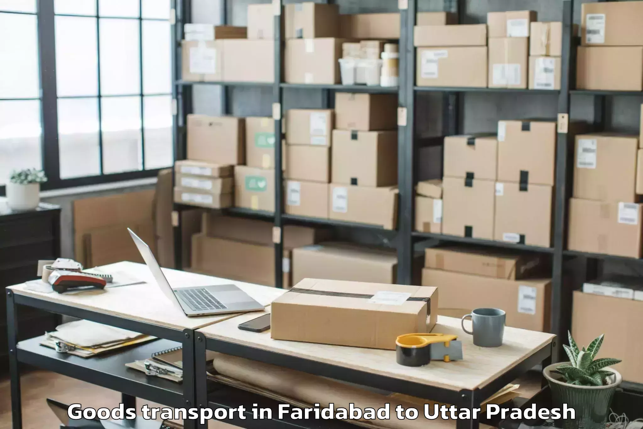 Reliable Faridabad to Mahgawan Goods Transport